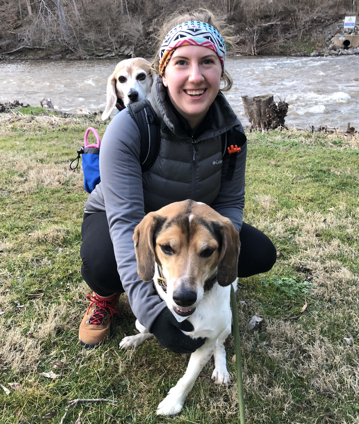 Veterinarians in Lancaster, Lancaster PA Veterinarians